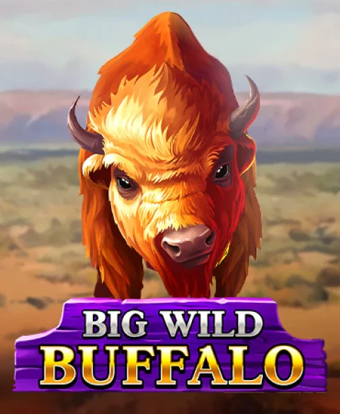 Play Big Wild Buffalo at Kla Sino Casino